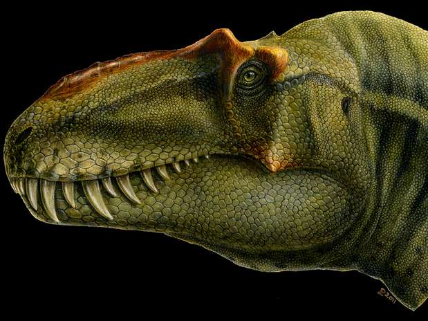 O dinossauro media cerca de 8 metros e pesava 2,5 toneladas Foto: Andrey Atuchin / Divulgação