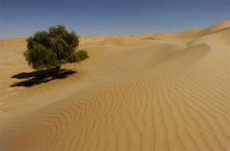 Rub Al-Khali - Rub Al-Khali