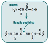 Ácidos Carboxílicos, Propriedade, Química, Aplicações, Estrutura