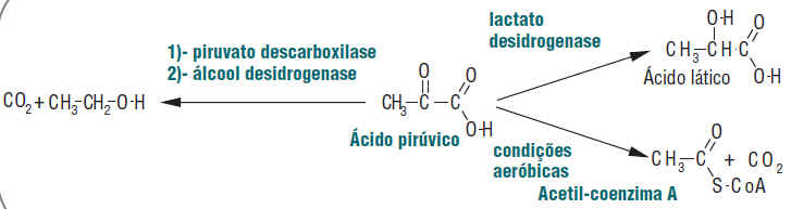 Ácidos Carboxílicos, Propriedade, Química, Aplicações, Estrutura